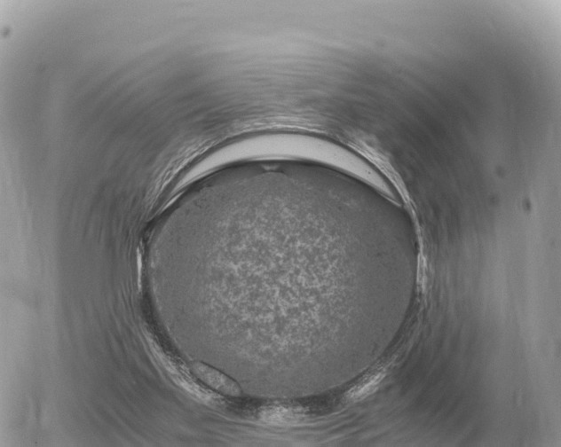 X0000056000109200508261800