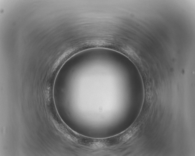 X0000056000111200508261800