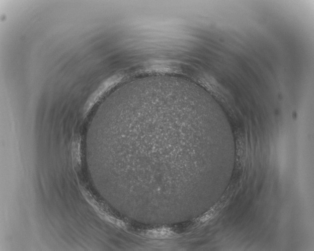 X0000056000112200508261800