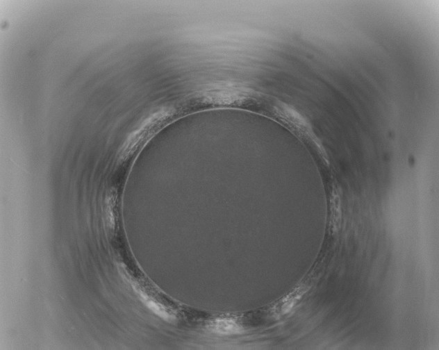 X0000056000114200508261759