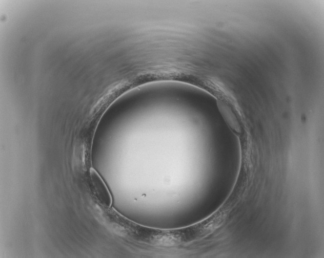 X0000056000115200508261759