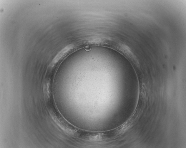 X0000056000116200508261759