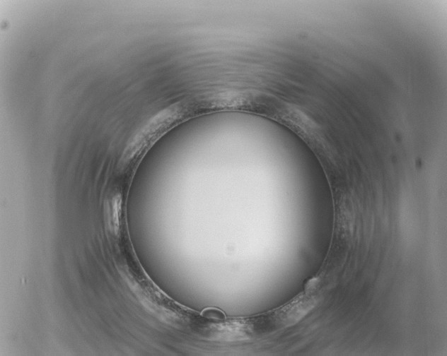 X0000056000118200508261759