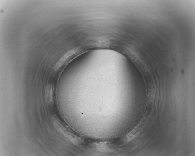 X0000056000120200508261759