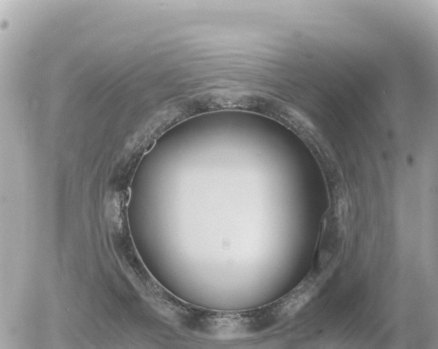 X0000056000121200508261759