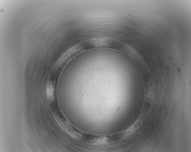 X0000056000124200508261759