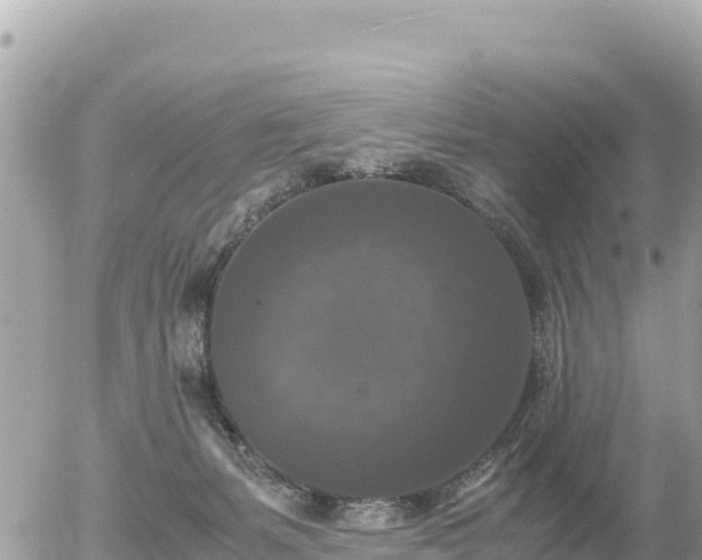 X0000056000127200508261759