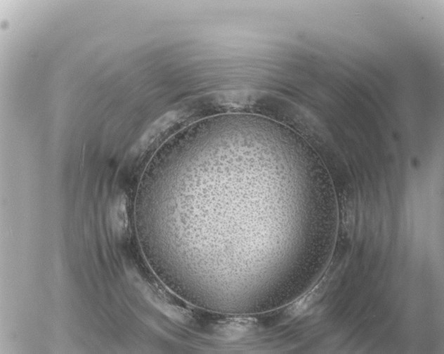 X0000056000128200508261759