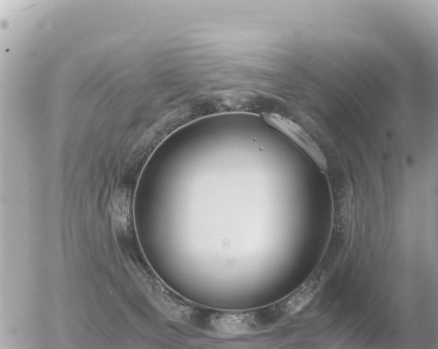 X0000056000129200508261759