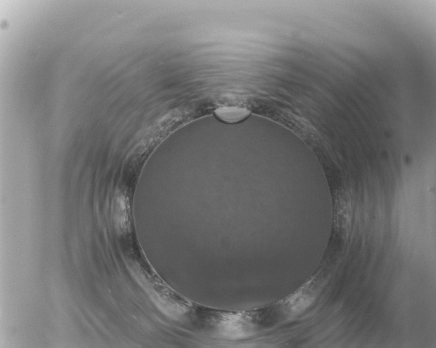 X0000056000130200508261759