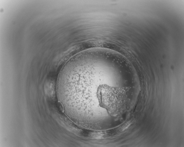 X0000056000131200508261759