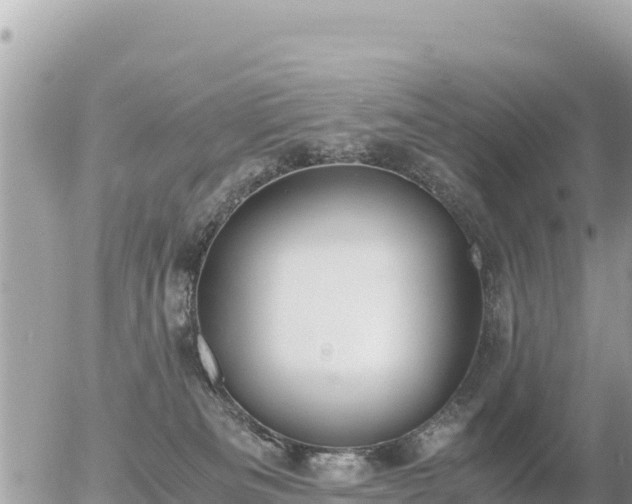 X0000056000133200508261759