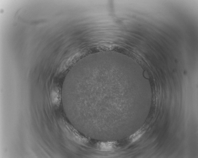 X0000056000134200508261759