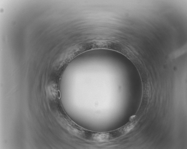 X0000056000135200508261759