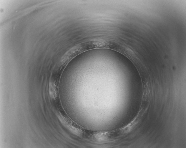 X0000056000136200508261759