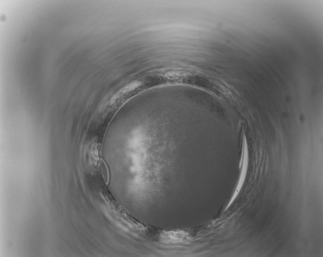 X0000056000137200508261759