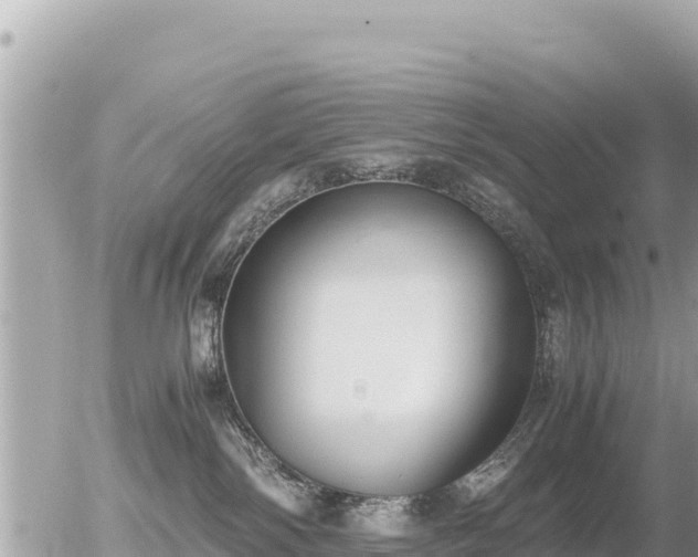 X0000056000138200508261759