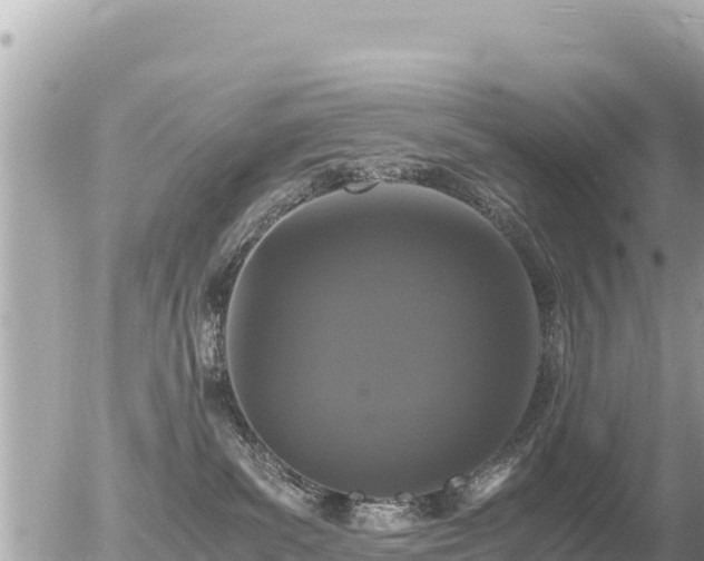 X0000056000139200508261759