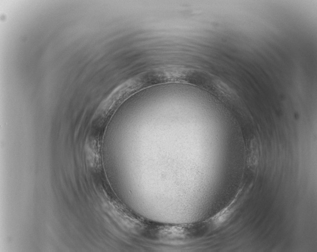 X0000056000140200508261759