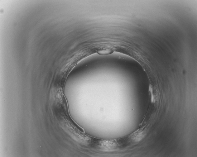 X0000056000141200508261759