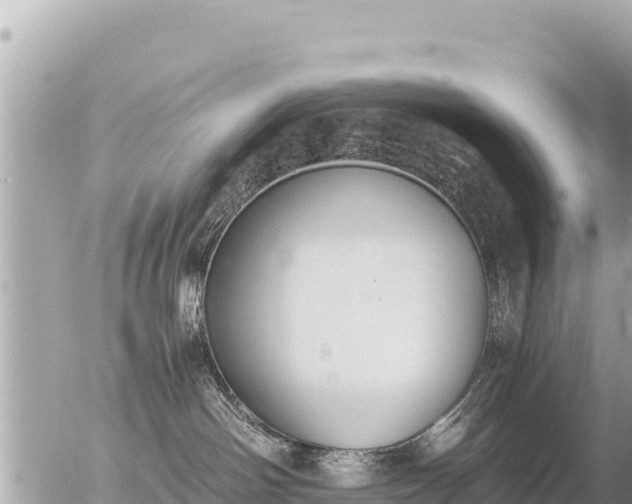 X0000056000142200508261759