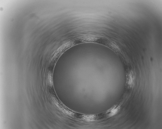 X0000056000143200508261759