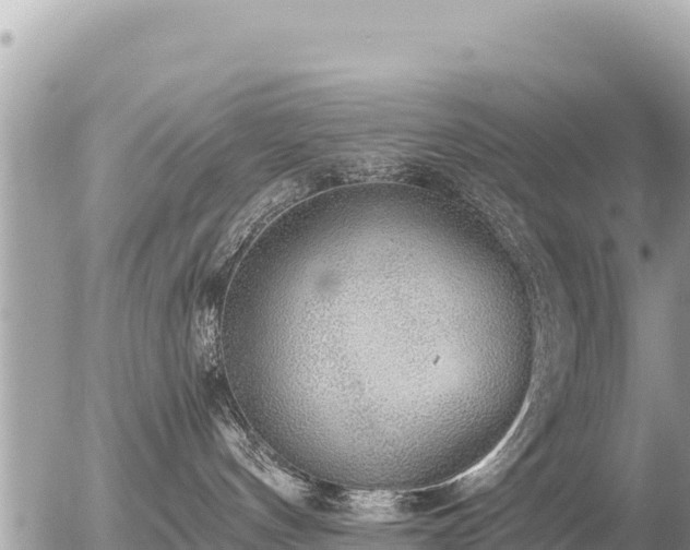 X0000056000144200508261759