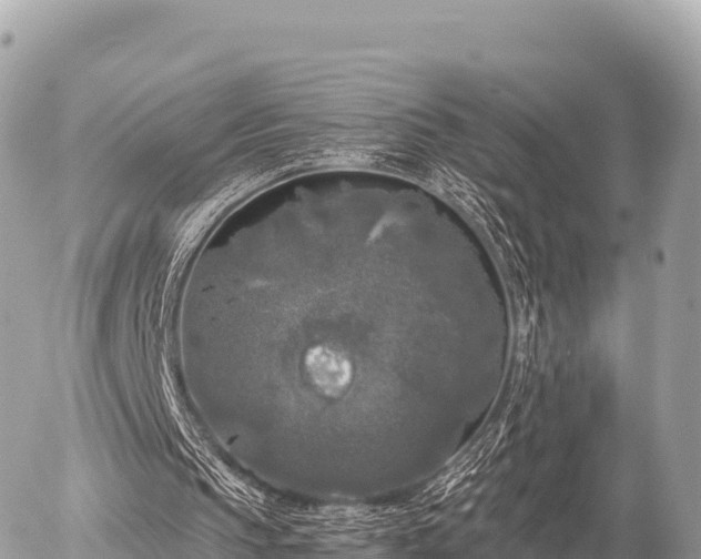 X0000056000145200508261758