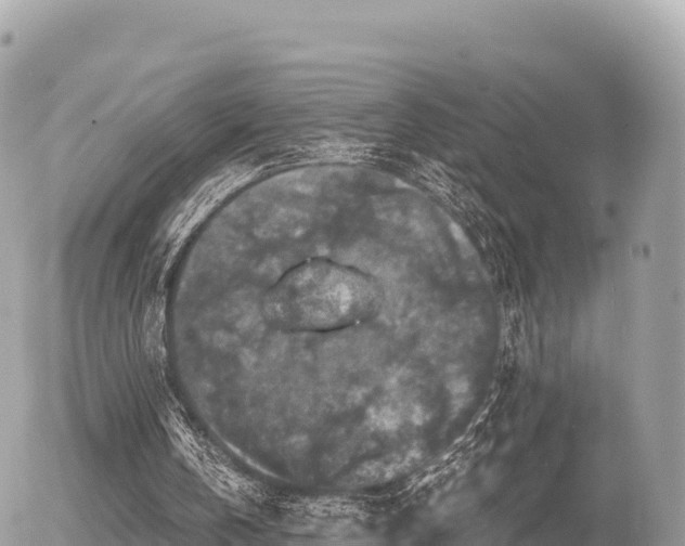 X0000056000146200508261758