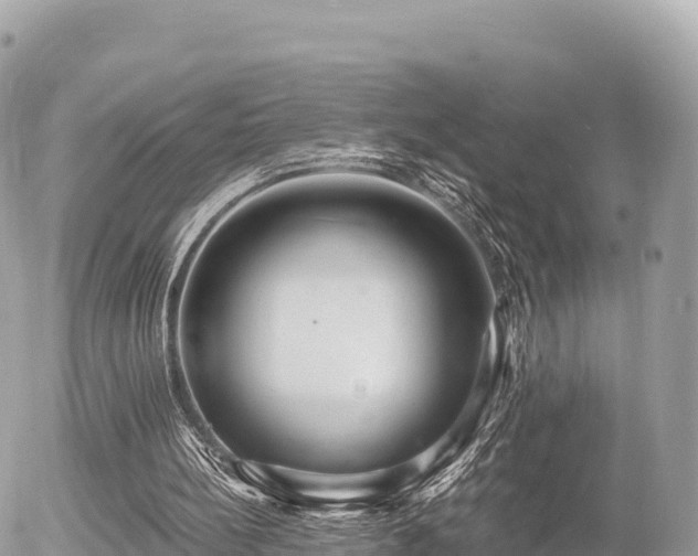 X0000056000148200508261758