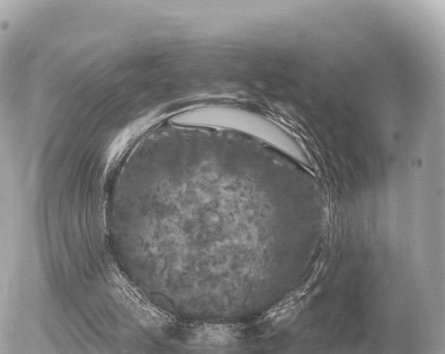 X0000056000149200508261758