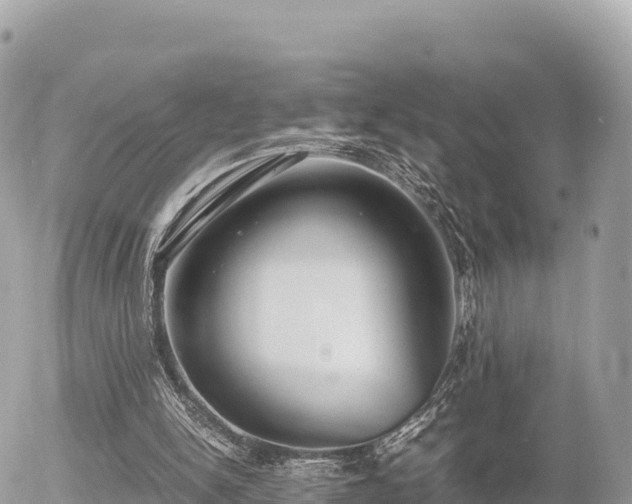 X0000056000150200508261758