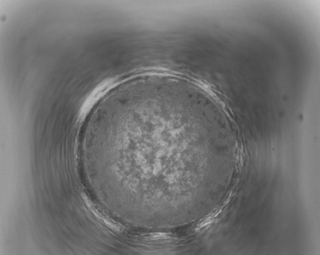 X0000056000151200508261758