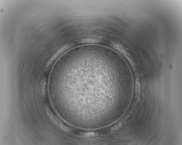 X0000056000153200508261758