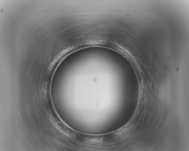 X0000056000155200508261758