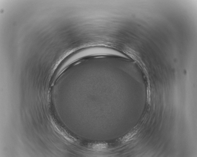 X0000056000156200508261758