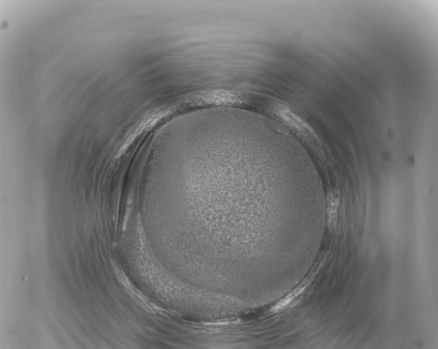 X0000056000158200508261758