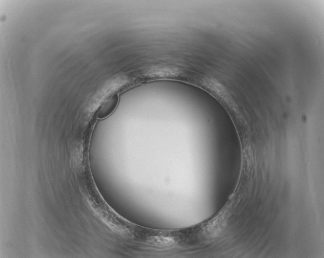 X0000056000159200508261758