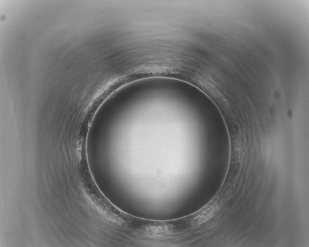 X0000056000160200508261758