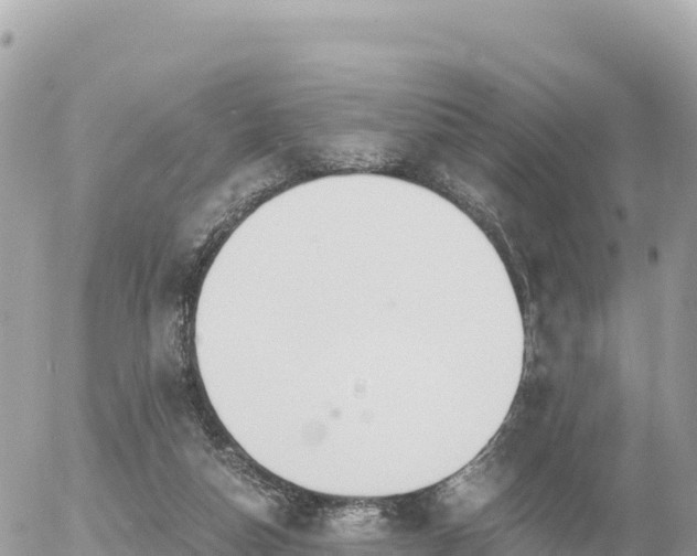 X0000056000162200508261758