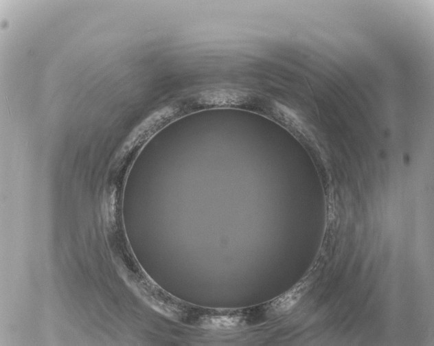 X0000056000163200508261759