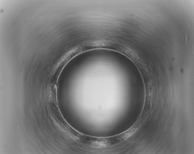 X0000056000164200508261759