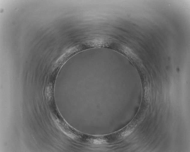 X0000056000165200508261759