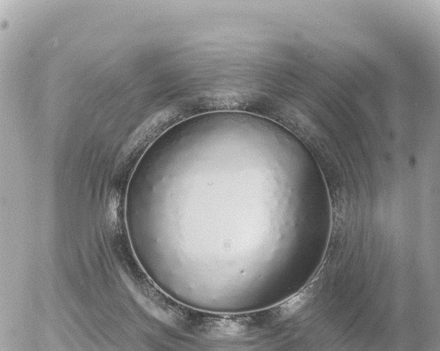 X0000056000166200508261759