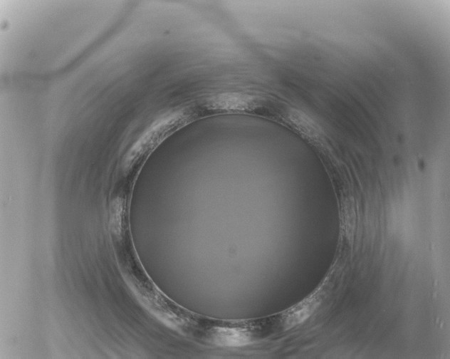 X0000056000167200508261759