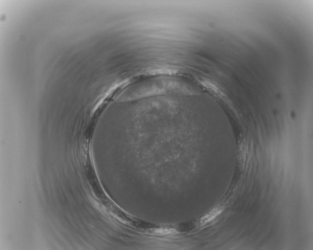 X0000056000168200508261759