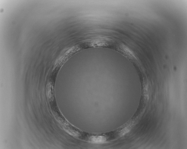 X0000056000169200508261759