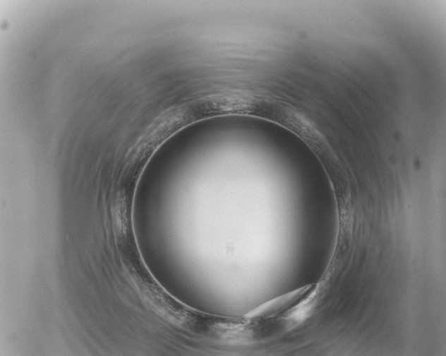 X0000056000170200508261759