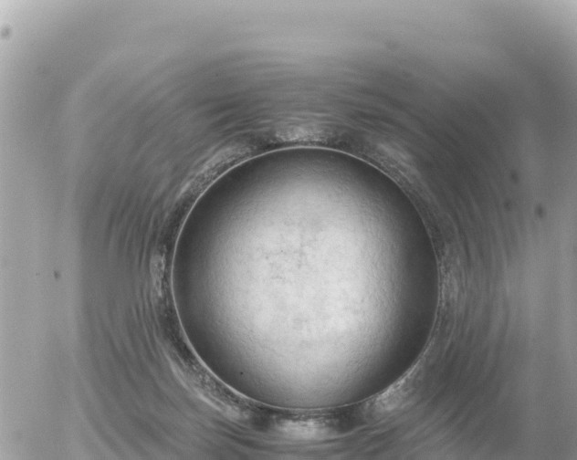 X0000056000171200508261759