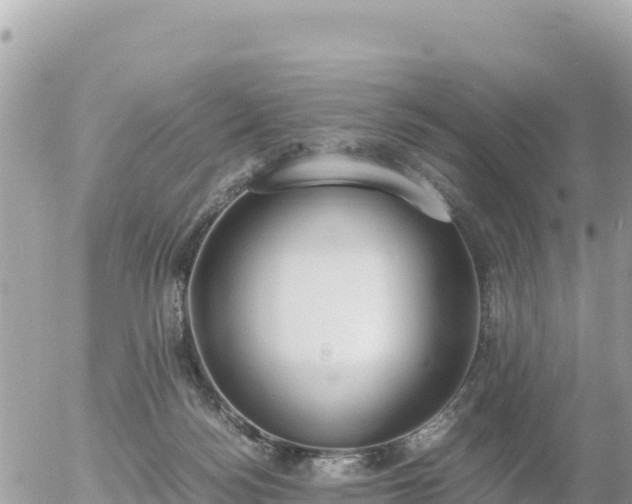 X0000056000172200508261759